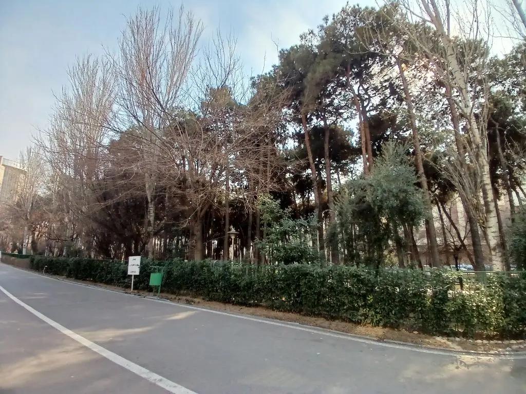 iran-university-of-science-and-technology.images-alt.green-space